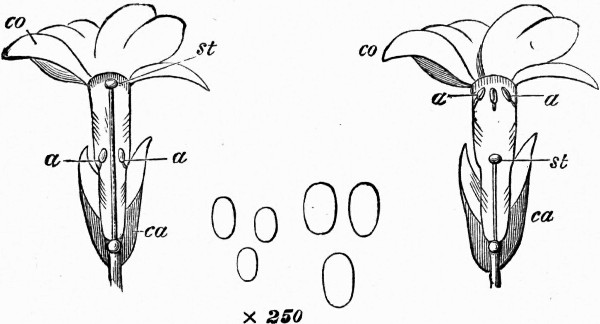 Fig. 12. Fig. 13.