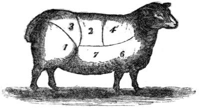 Mutton cuts