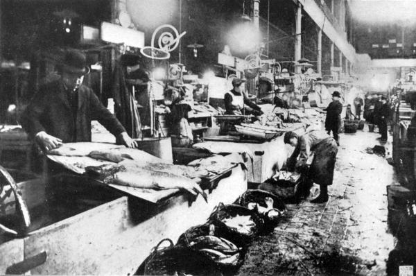 INTERIOR OF THE BERLIN CENTRAL MARKET  The Fish Section of the Great Municipal Market of the German Capital.