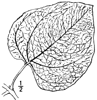 Fig. 8.