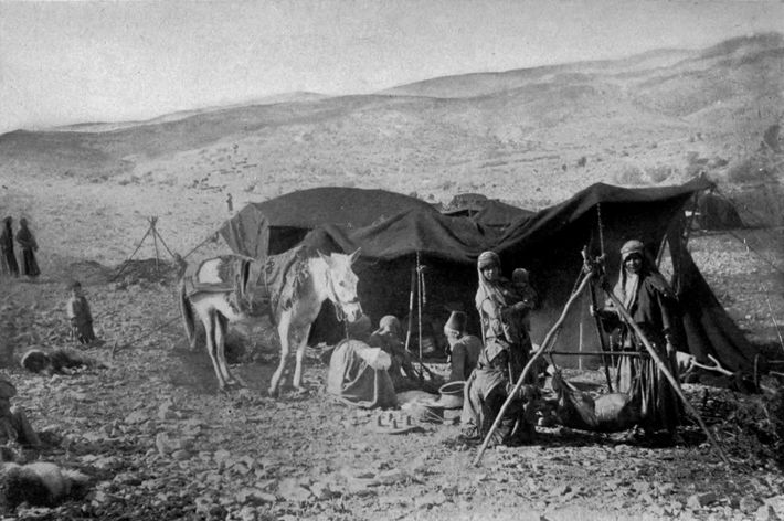 Women Churning Butter in Bedouin Camp (Arabia)