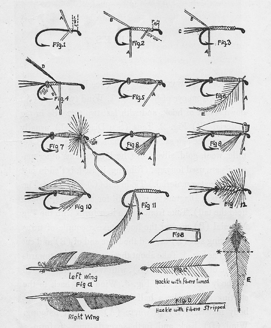 Page sized diagram showing drawings of wet flys.