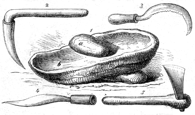 1. Mühle (a. Läufer, b. Bodenstein). 2. Erdhacke. 3. Sichel. 4. Messer. 5. Axt der Abessinier.