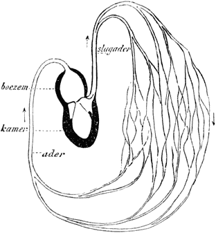 Fig. 22.