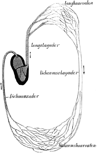 Fig. 23.