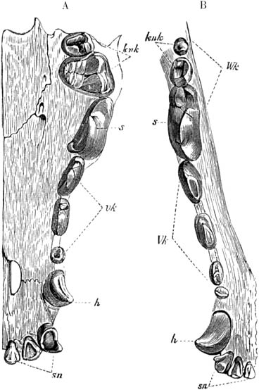 Fig. 38.