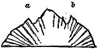 Fig. 56.