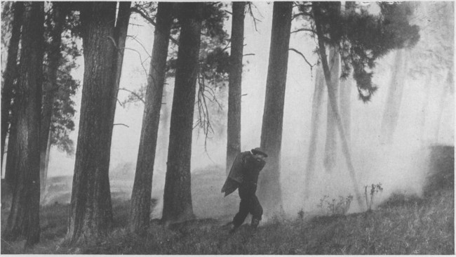 The forest-ranger in action, fighting a ground fire with his saddle blanket in one of the National Forests of the West