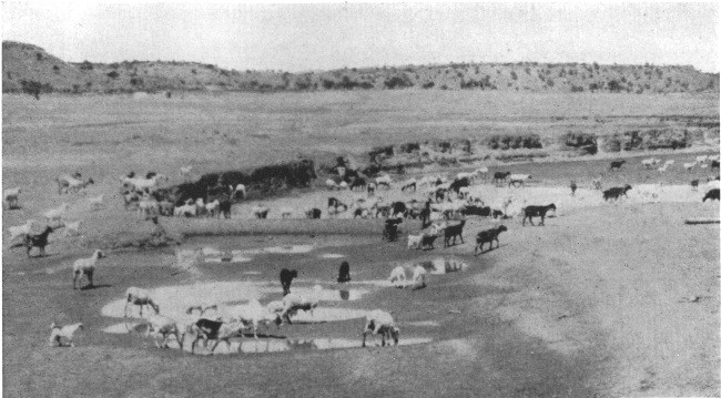 A pool in the Painted Desert whither came thousands of goats and sheep, driven by Navajo girls on horseback