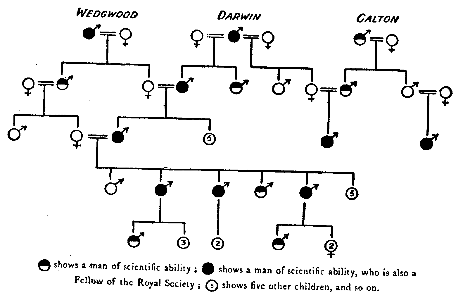 Fig. 28.