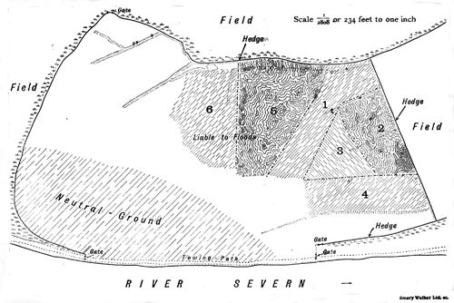 Plan of the water meadow showing the territories occupied by Lapwings in the year 1915.