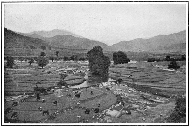 Near Shinkiari, Hazara District