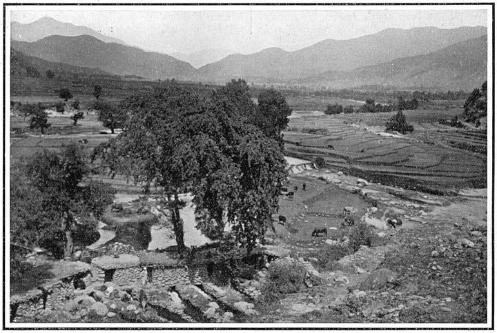 Flour Mills near Shinkiari