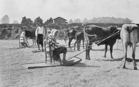 Fig. 2.—Threshing Corn with Native Threshing Board.