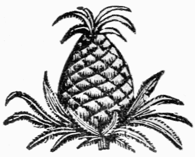 pineapple