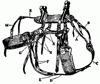 Mr. Ernest Britten's Pack Rig.