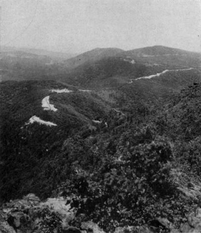 View Along the Skyline Drive in the Shenandoah National Park