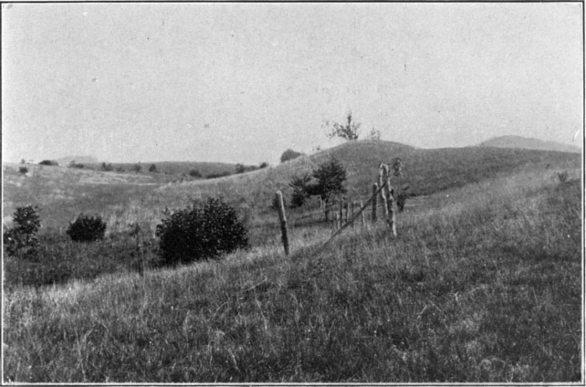 Plate V. A. Kames in Still River Valley west of Brookfield Junction.