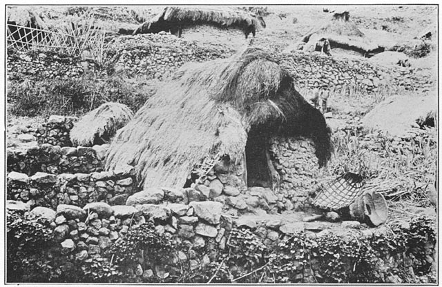 Bontoc dwelling, the Kat-yu′-fong, a widow's house, showing pigpens which extend beneath it