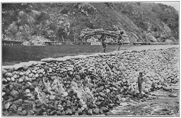 The main dam, showing irrigation troughs beyond