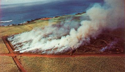 Sugar Cane Fields Burning 