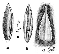 Fig 21.