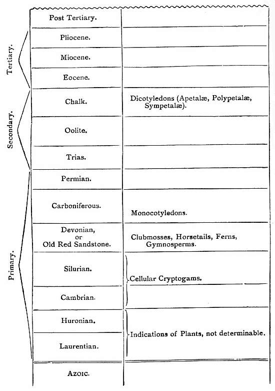 VEGETABLE DEVELOPMENT.