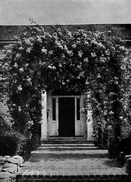 The Entrance Porch