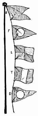 Fig. 91.—Signal Flags: B, Red; F, Blue, White Circle; L, Blue and Gold (Yellow); T, Red, White, Blue; D, Red, White Circle. Can you read the Order?