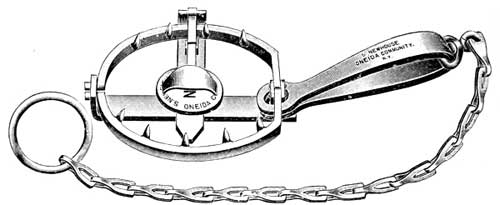 NO. 2 1/2, OR OTTER TRAP WITH TEETH.