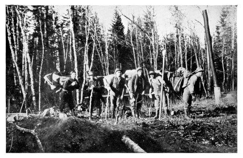 In the Tamarack Swamp.