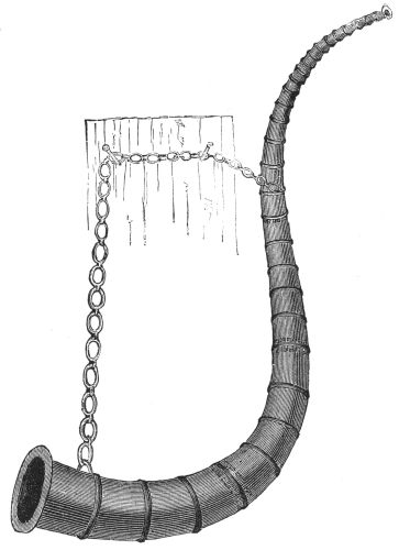 LOOR OR WAR HORN OF BRONZE. (Skaane.)