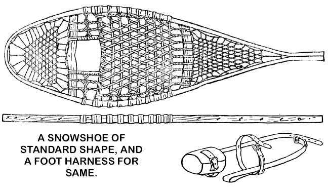 A SNOWSHOE OF STANDARD SHAPE.