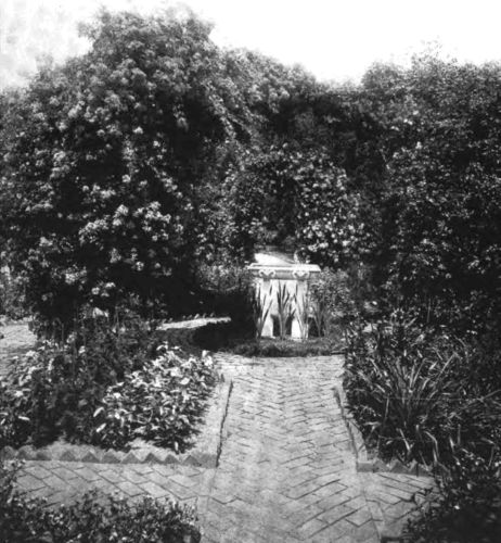 THE CENTRAL FEATURE OF THE GARDEN MAY BE A BIRD-BATH