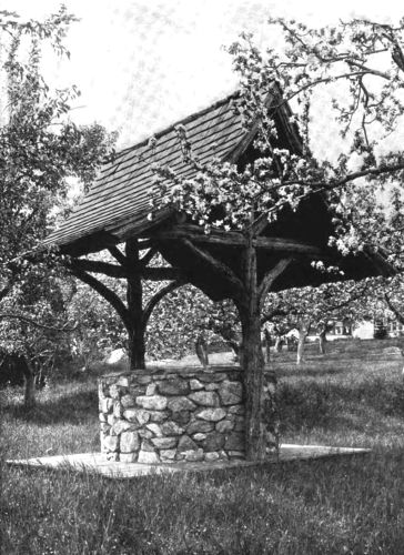 AN OLD WELL USED EFFECTIVELY AS A DECORATIVE FEATURE