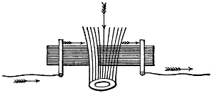 Insulated wires