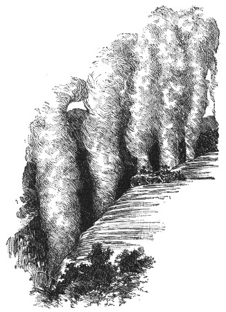 "SMOKE-RESOUNDING" FALLS OF THE ZAMBESI.