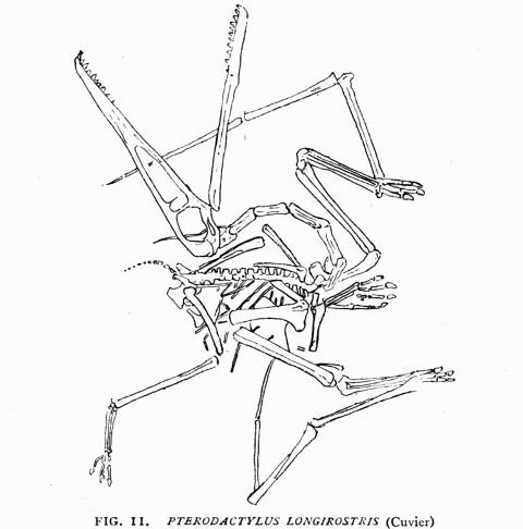 FIG. 11.