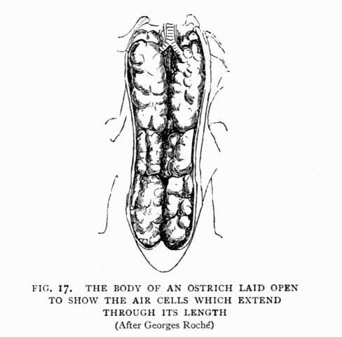 FIG. 17.