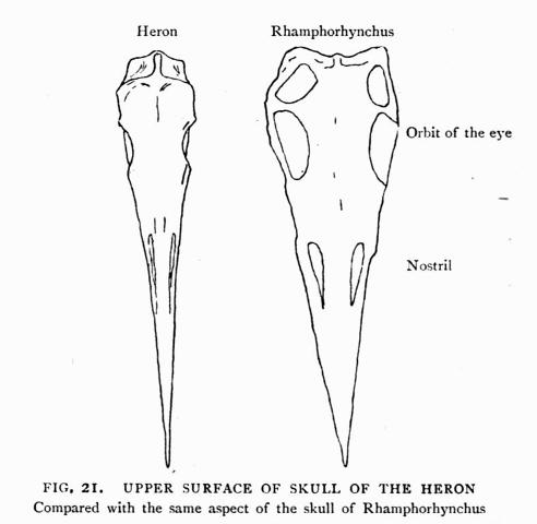 FIG. 21.