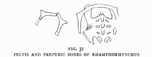 FIG. 31