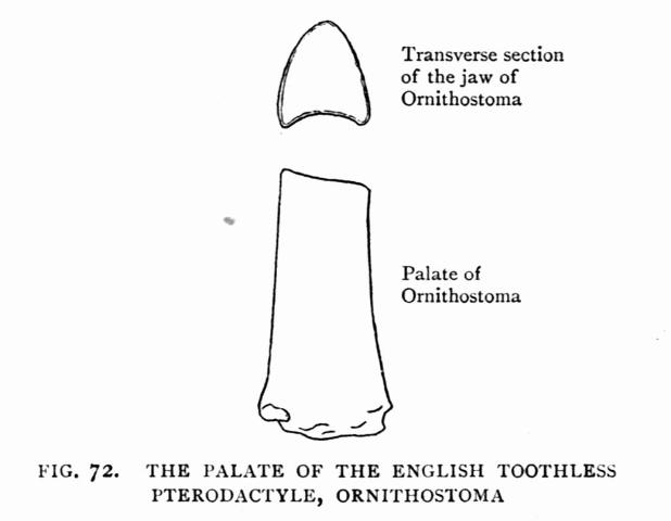 FIG. 72.