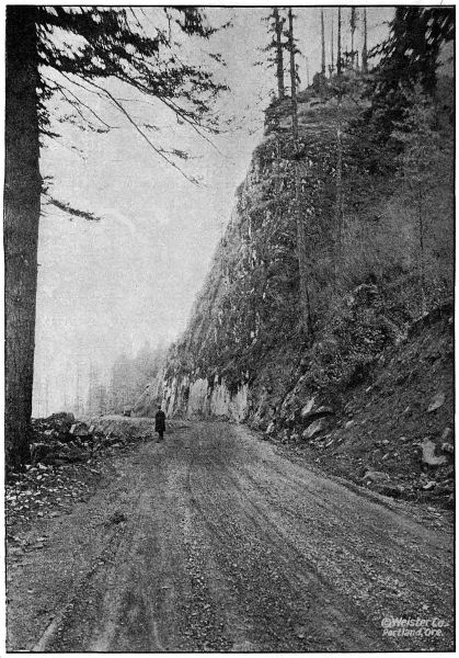 ON THE COLUMBIA RIVER HIGHWAY IN HOOD RIVER COUNTY TWO MILES EAST OF CASCADE LOCKS. GRADED AND GRAVELED IN 1917 AND 1918