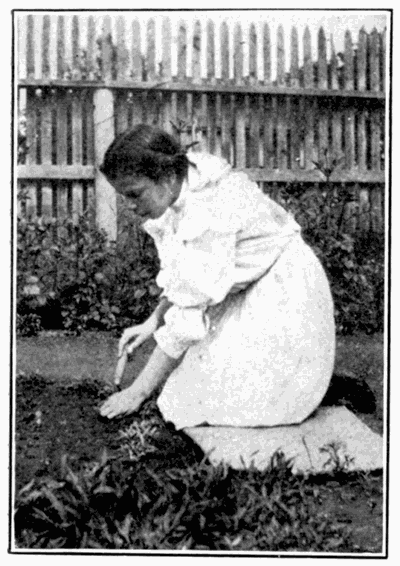 THE RIGHT WAY TO TAKE A WEED OUT OF THE GROUND