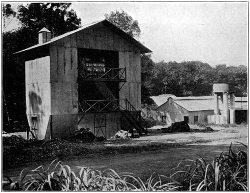 General View of Double 'Devon' Smoke-House and Factory Buildings