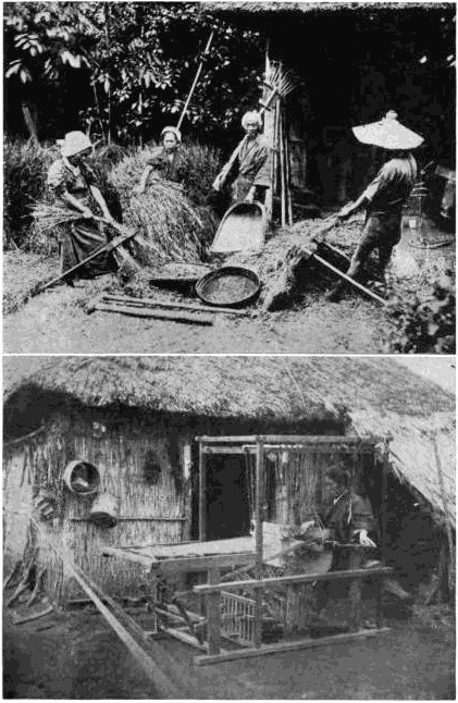 SEPARATING THE WHEAT HEADS FROM THE STRAW AT THE LOOM