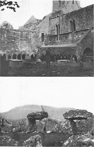 SLIGO ABBEY FROM THE CLOISTER