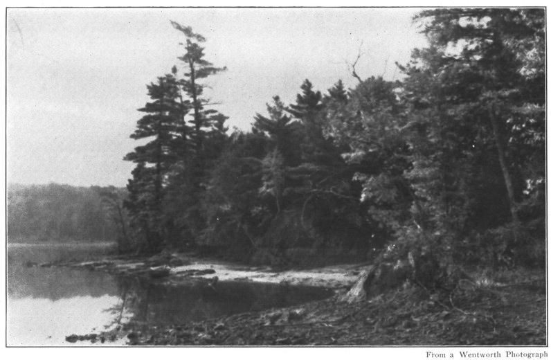 ON TRESUMPSCOTT POND