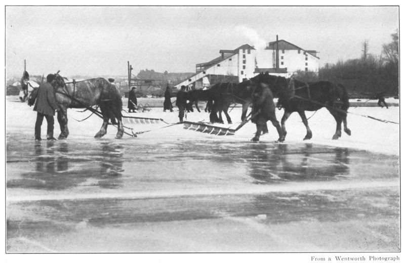 ICE-CUTTING ON THE RIVER BEGINS IN JANUARY