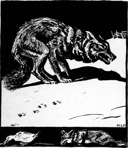 THAT NIGHT AN OLD WOLF CAME THROUGH THE FOREST IN SEARCH OF FOOD